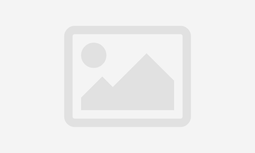 الصورة المصغرة للدورة